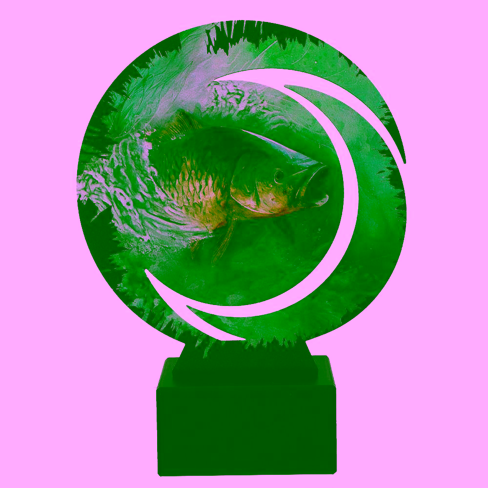 Trofej WR-FIS2 - Rybárstvo – Obrázok 2
