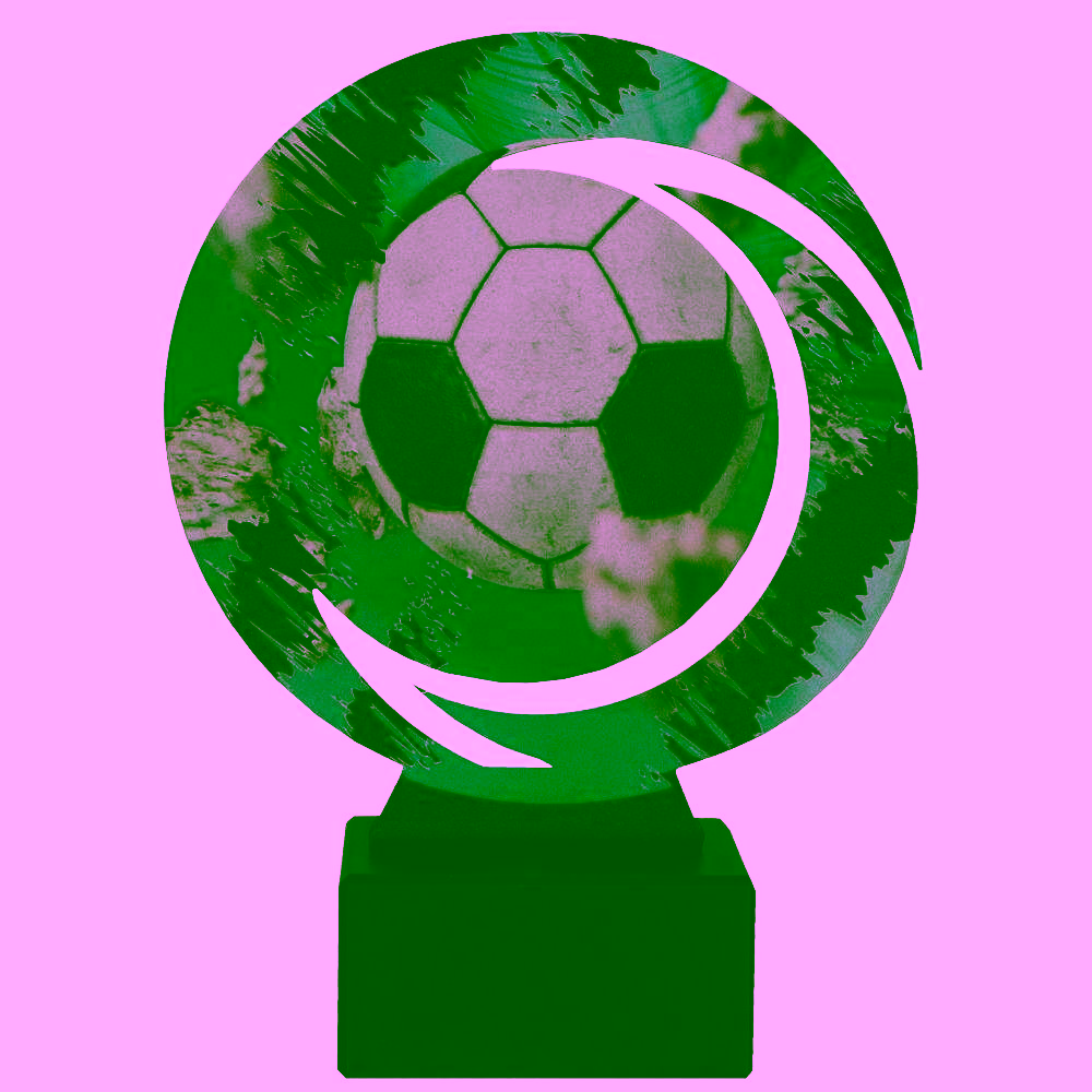 Trofej WR-SOC1 - Futbal – Obrázok 2